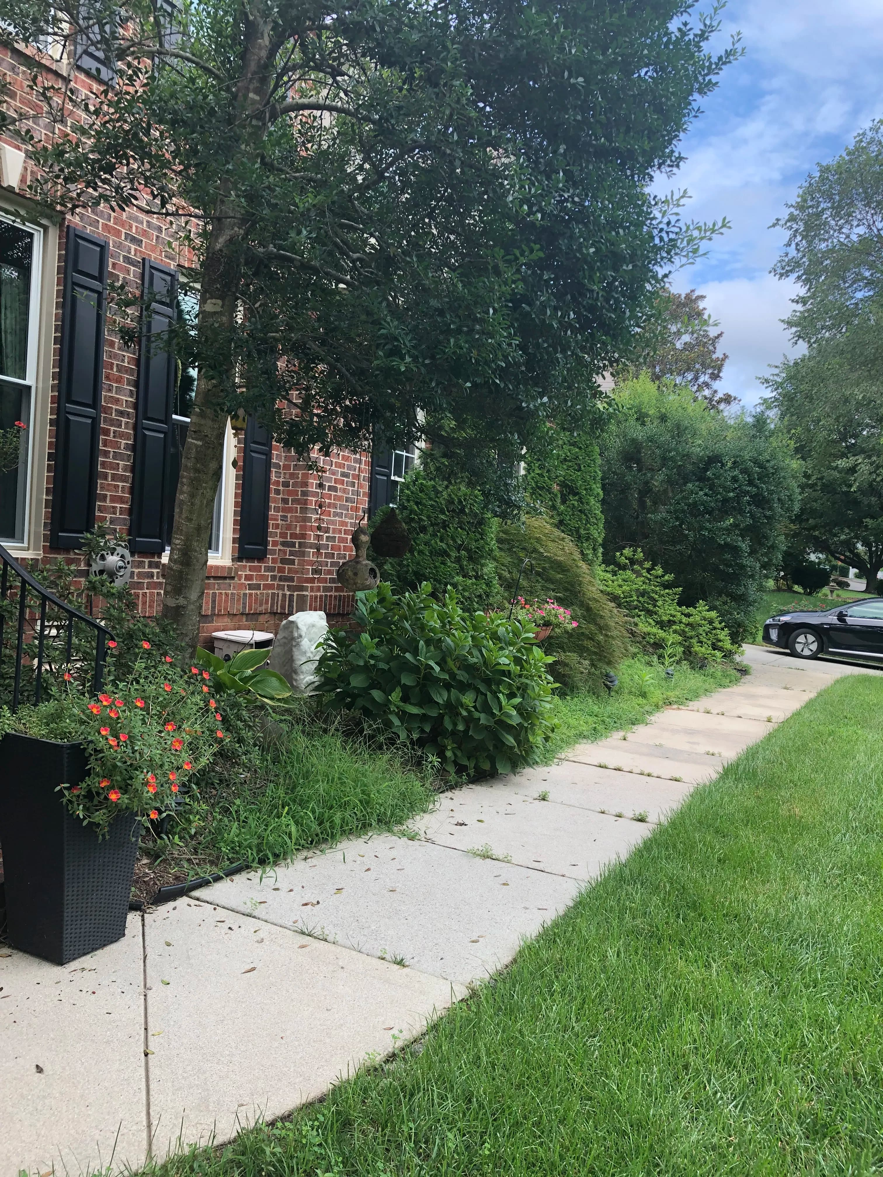 Lush front yard with blooming flowers and shrubs alongside a sidewalk and brick facade.