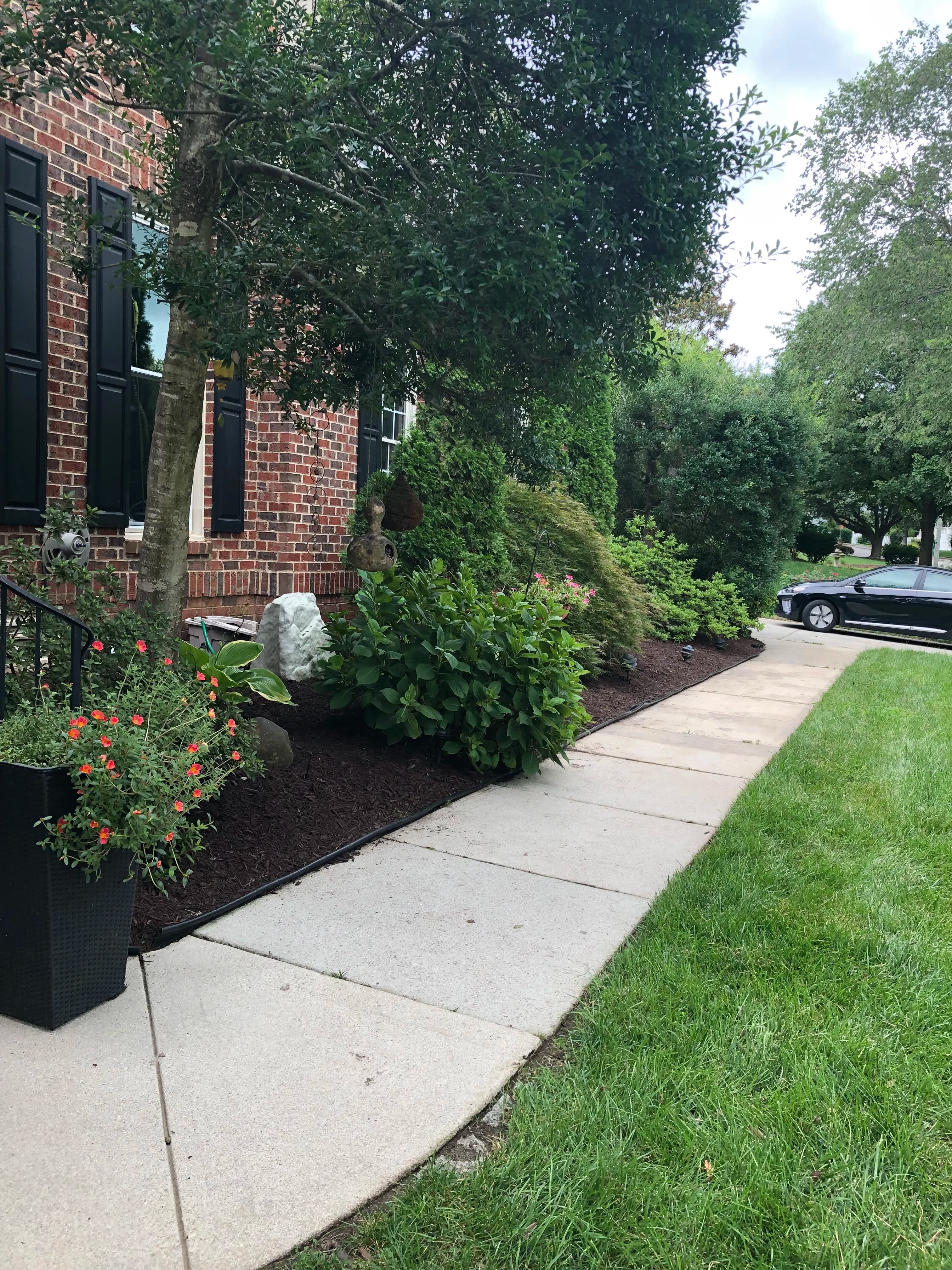Lush landscaped front yard with shrubs, flowers, and stone accents alongside a concrete walkway.
