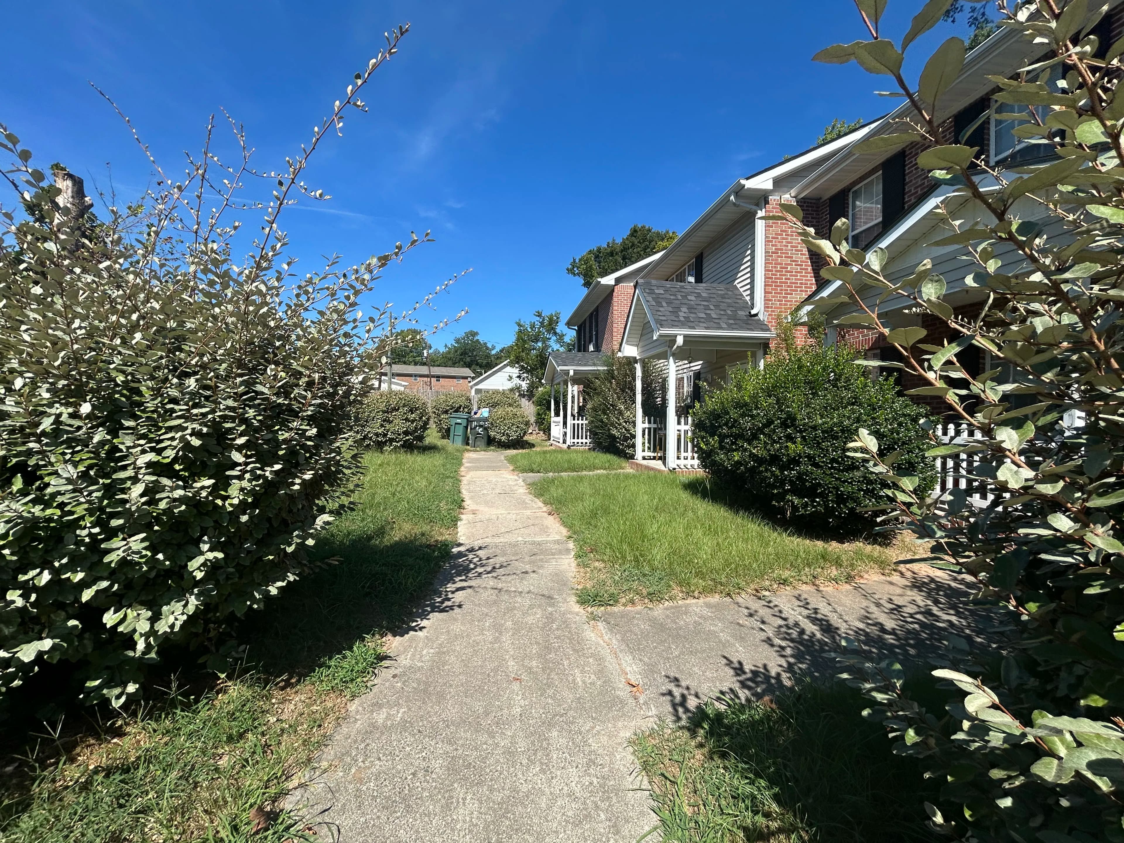 Pathway leading to a residential house with greenery on a sunny day.
